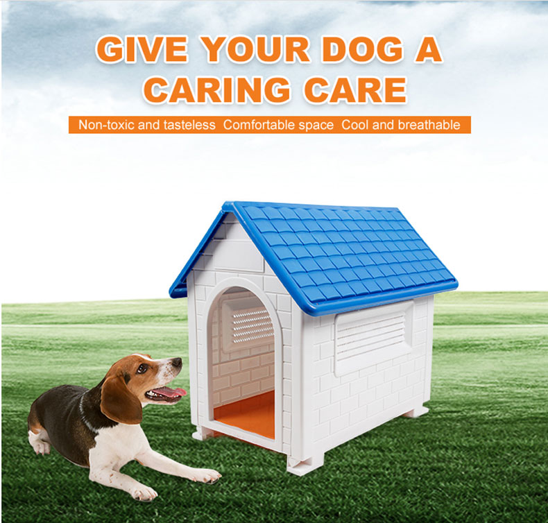 Dog House Detail 6
