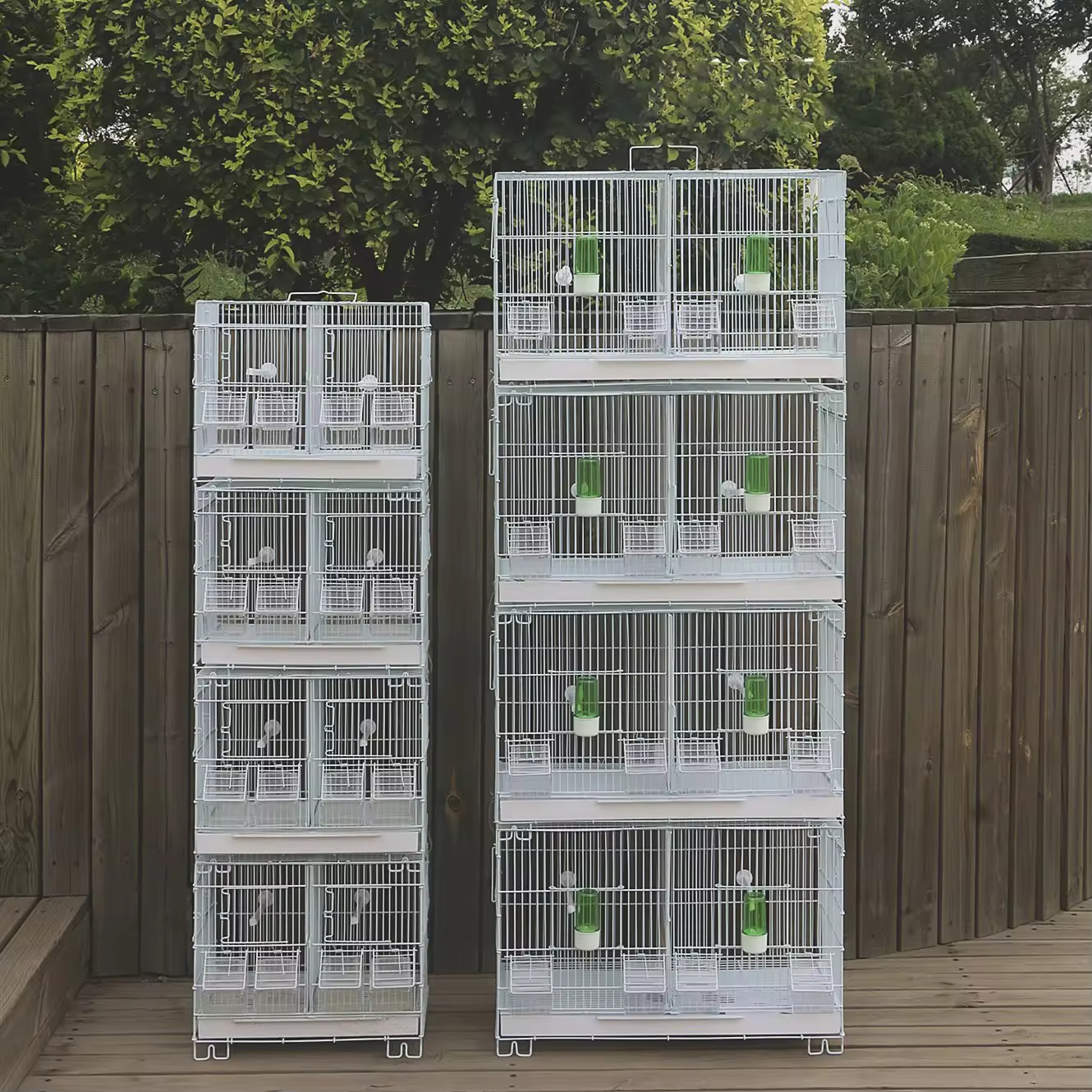 Luxury Parrot Bird Cage Display 1