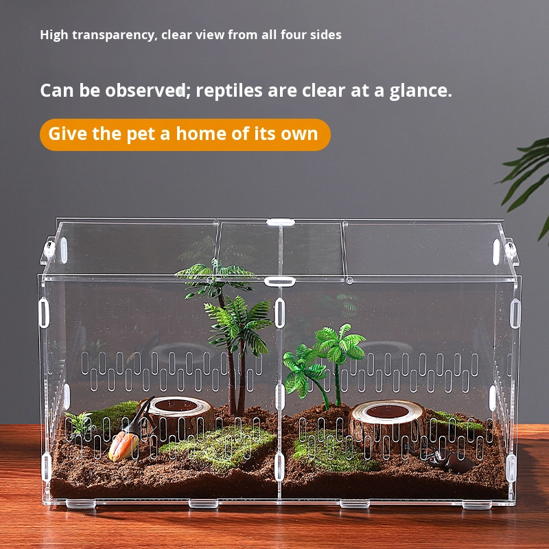 Modern Acrylic Reptile Breeding Box Transparent Pet Mantis Cricket Snake Unicorn Beetle Snail Hermit Crab Assembly Enclosure