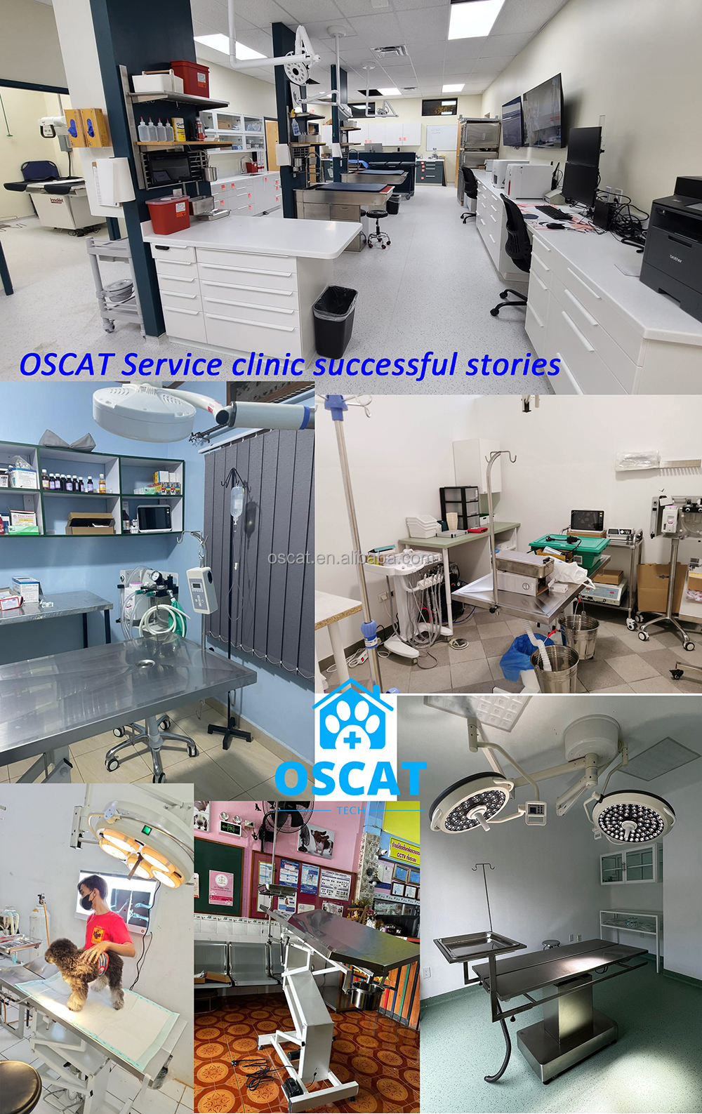 Veterinary clinical products line