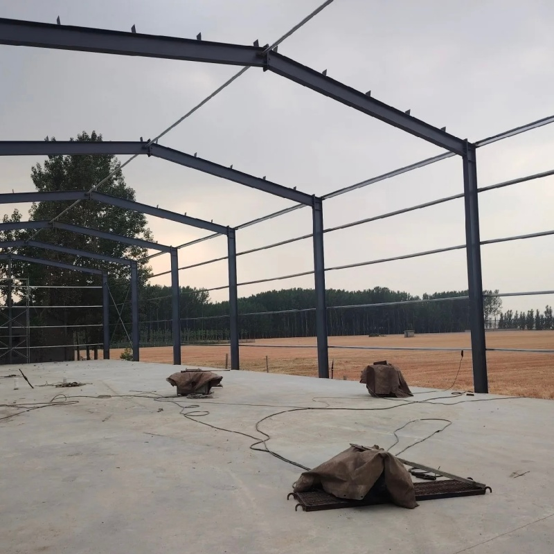 Earthquake Resistant Civil Building Steel Structure for Residential Housing