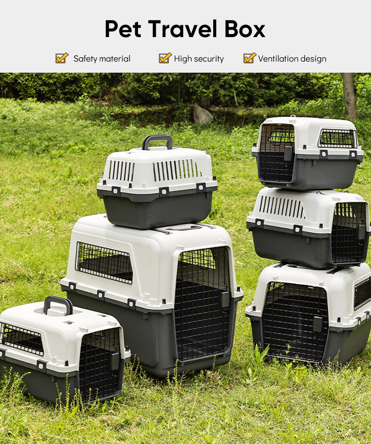 Pet Travel Box