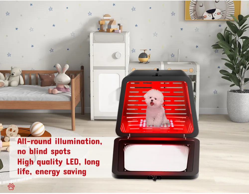 Dog Cat Kennel Therapy Application