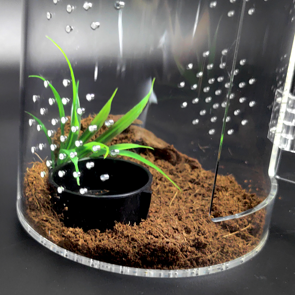 Acrylic Transparent Reptile Terrarium Mini Enclosure Cage for Tarantulas Display Racks for Displaying