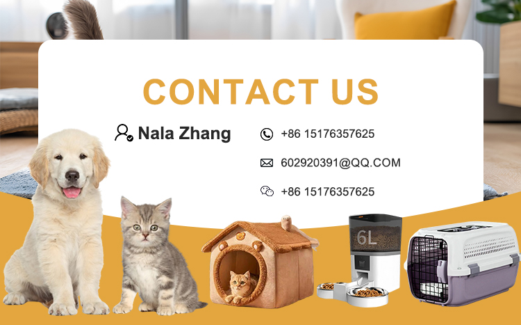 Customer Support Banner