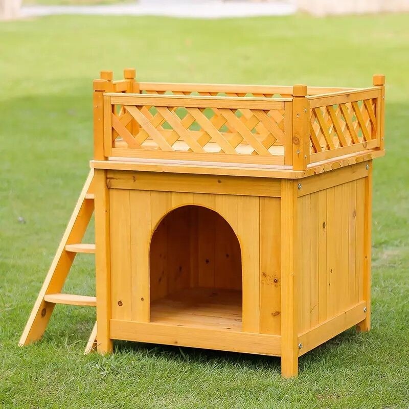 Related Pet Product 2