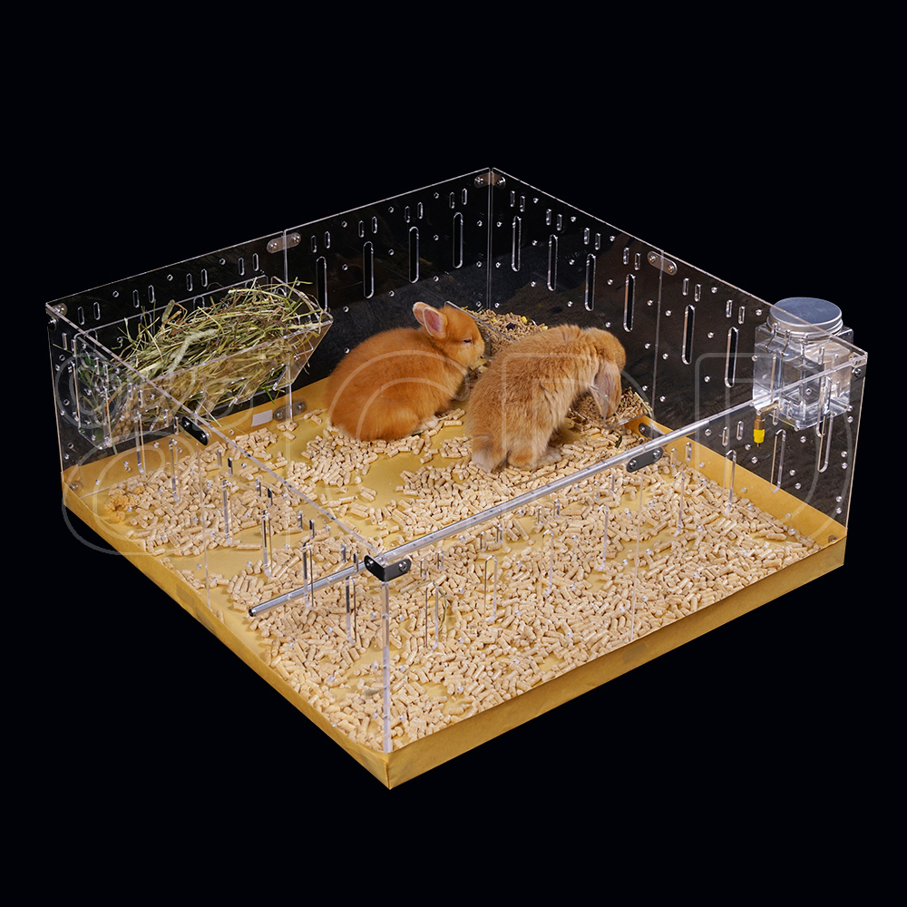Acrylic Pet Enclosure Display 3