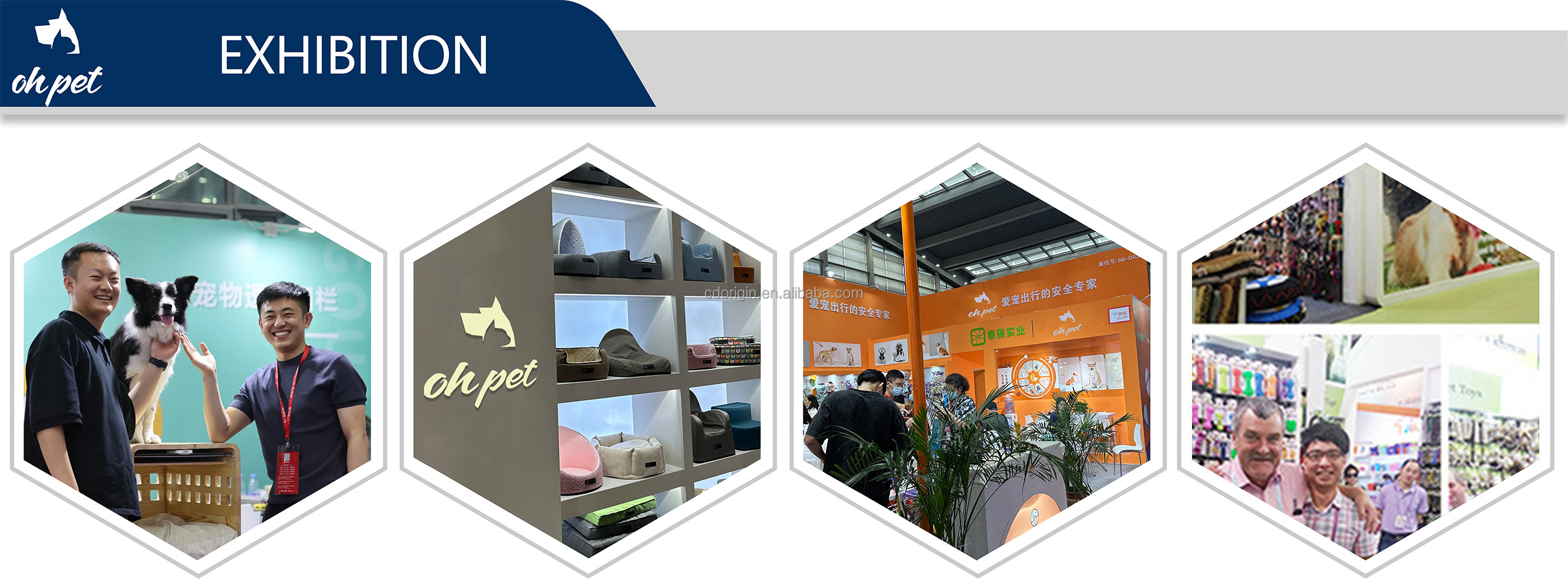 Showcase 5