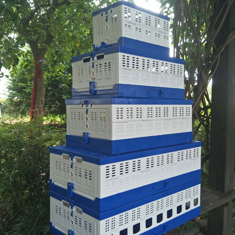 Pigeon Cage Image 4