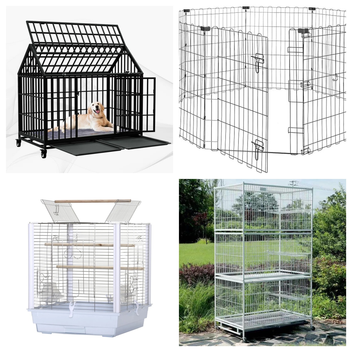 Breeder Birds Parrots Breeding Cage Detail 1