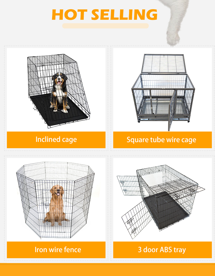 Product Options