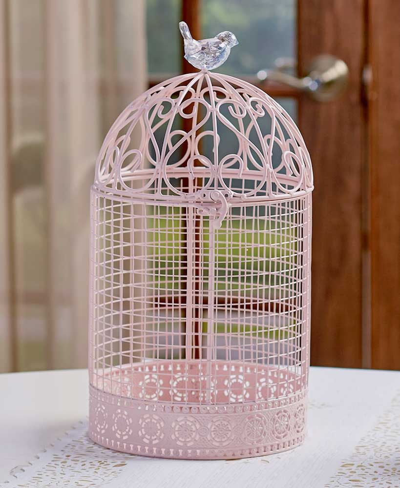 Bird Cage Showcase 9