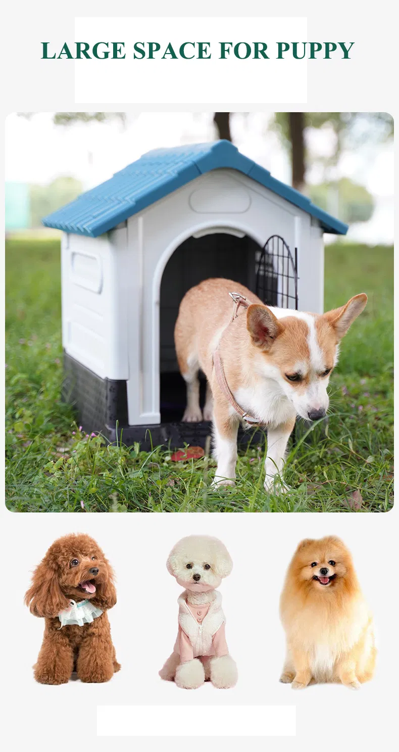 Wholesale Portable Luxury Design Indoor Outdoor Plastic Pet Cat Dog Sleeping House
