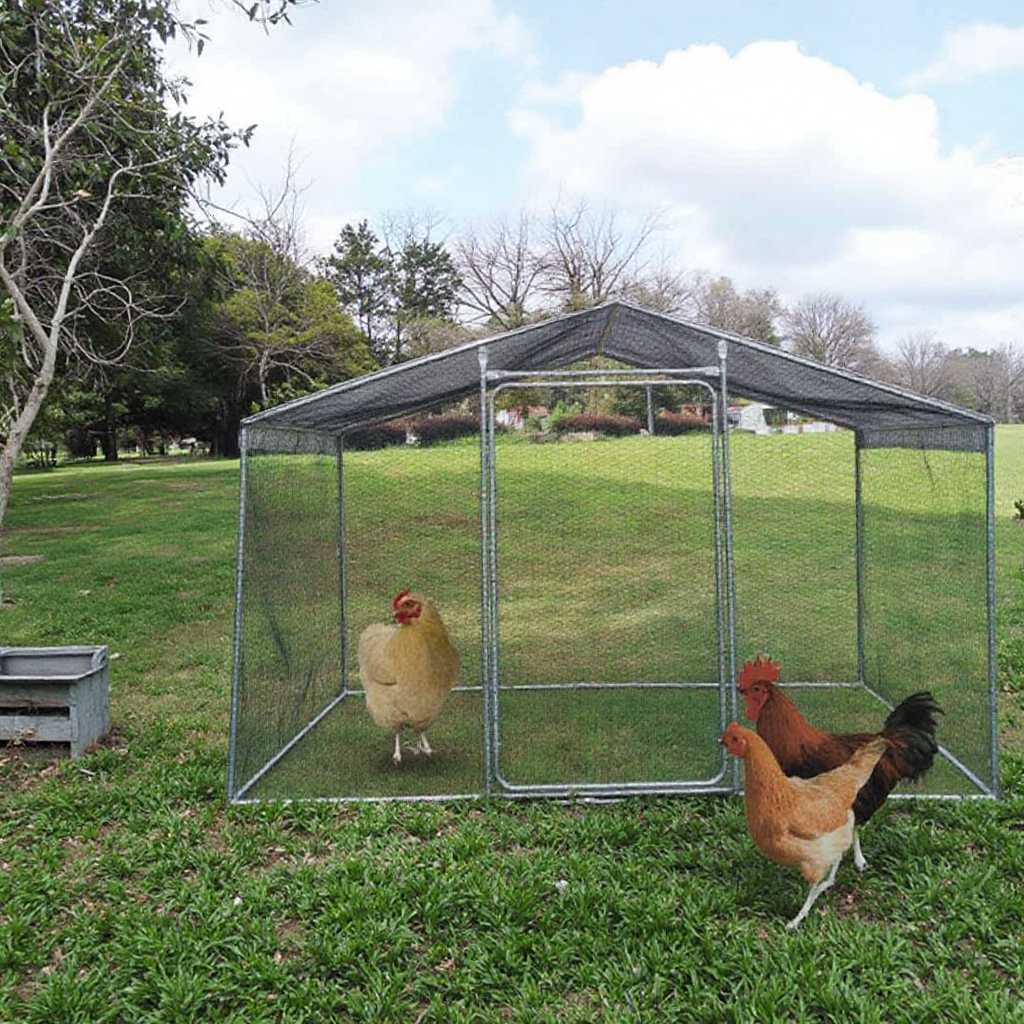 Metal Poultry Cage Detail 2