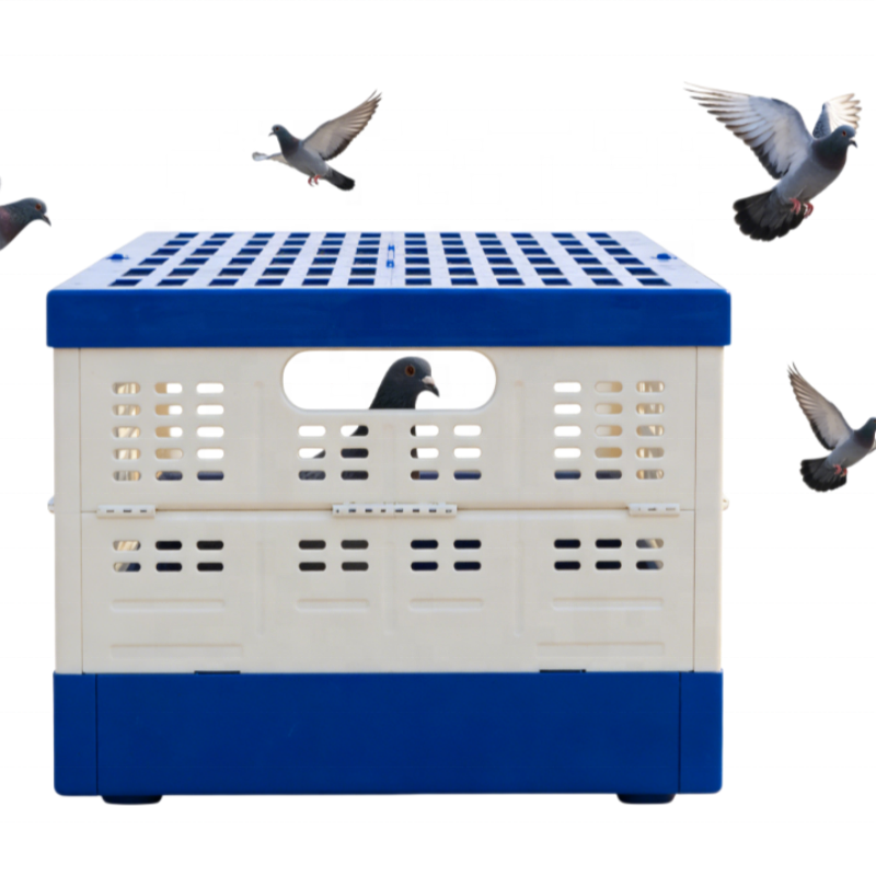 Foldable Plastic Pigeon Flying Cage for Bird Breeding Bird Carrier Portable Transport Crate Racing Pigeon Cage Training Box