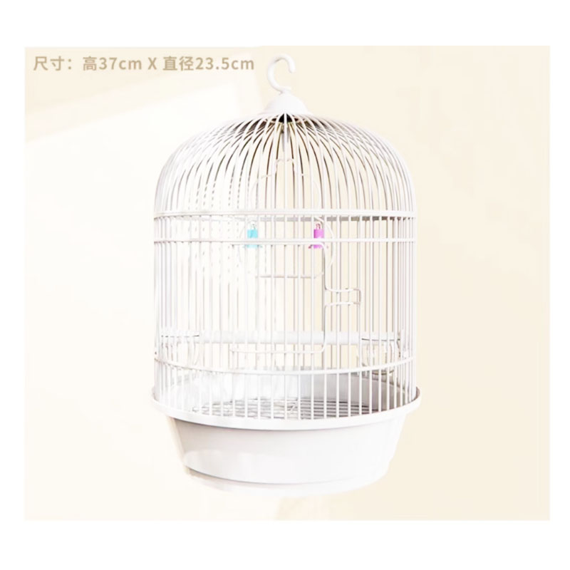 Bird Cage Detailed Image