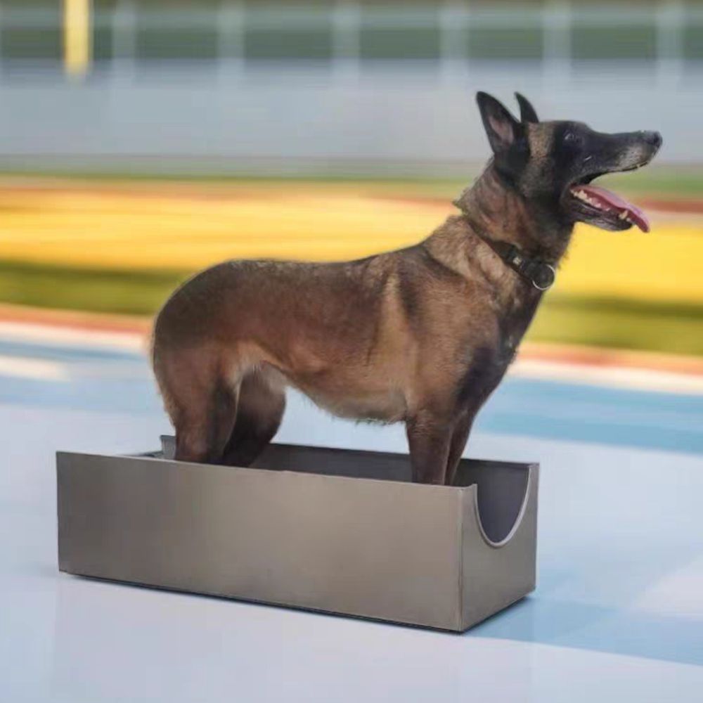 Stainless Steel Scratch-resistant Training Box for Working Dogs to Shape and Correct Behavior
