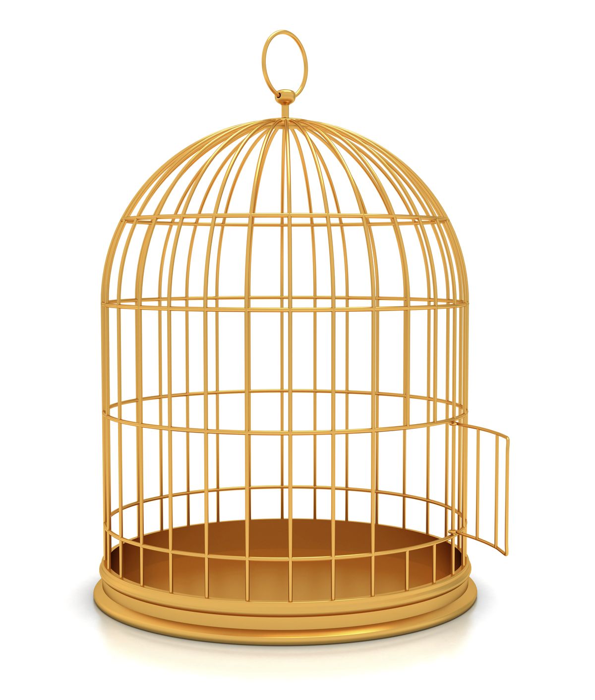 Bird Cage Design 2