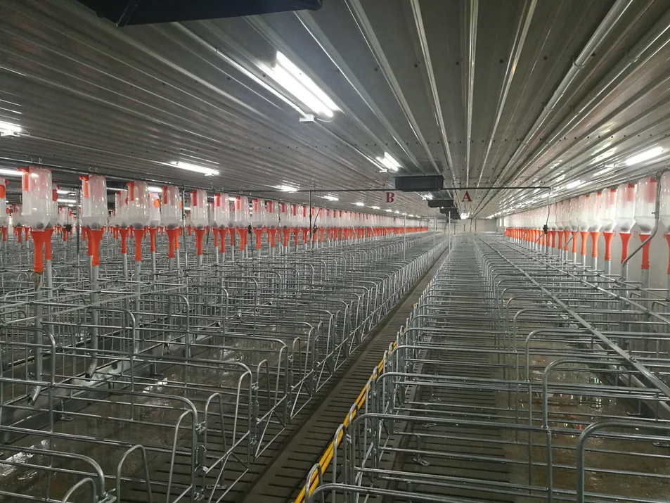 Steel Pig Barns Modular Housing Systems Quick-Install Poultry Farm Buildings Lightweight Structure