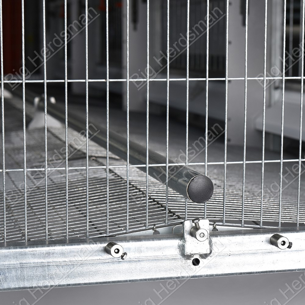 Commercial Chicken Breeder Cage Equipment With Large Bird Space And Aluminized Zinc Structure For Poultry Breeding Farms