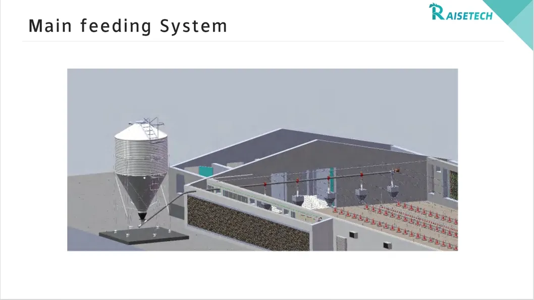 Main Feeding System Details