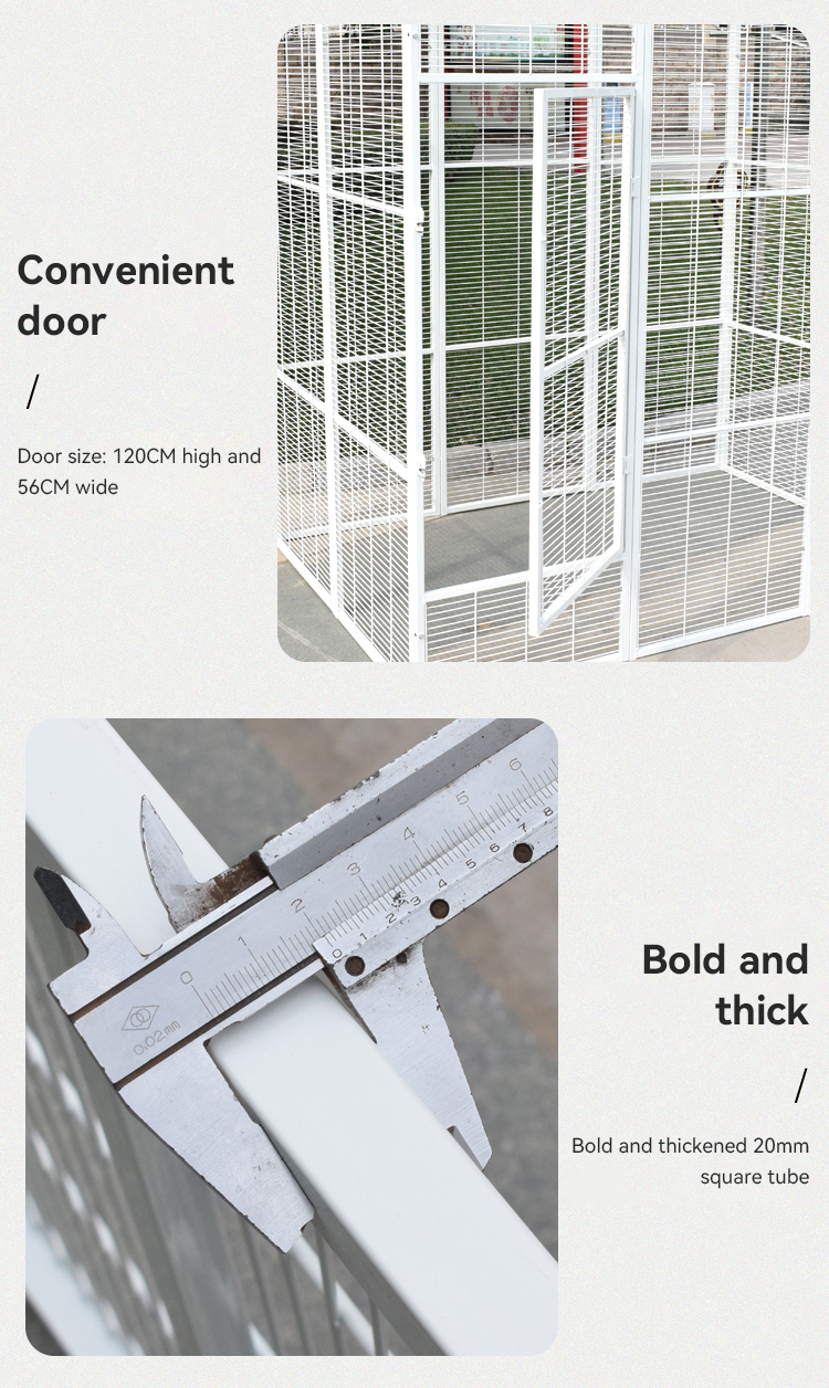 Product Detail 9