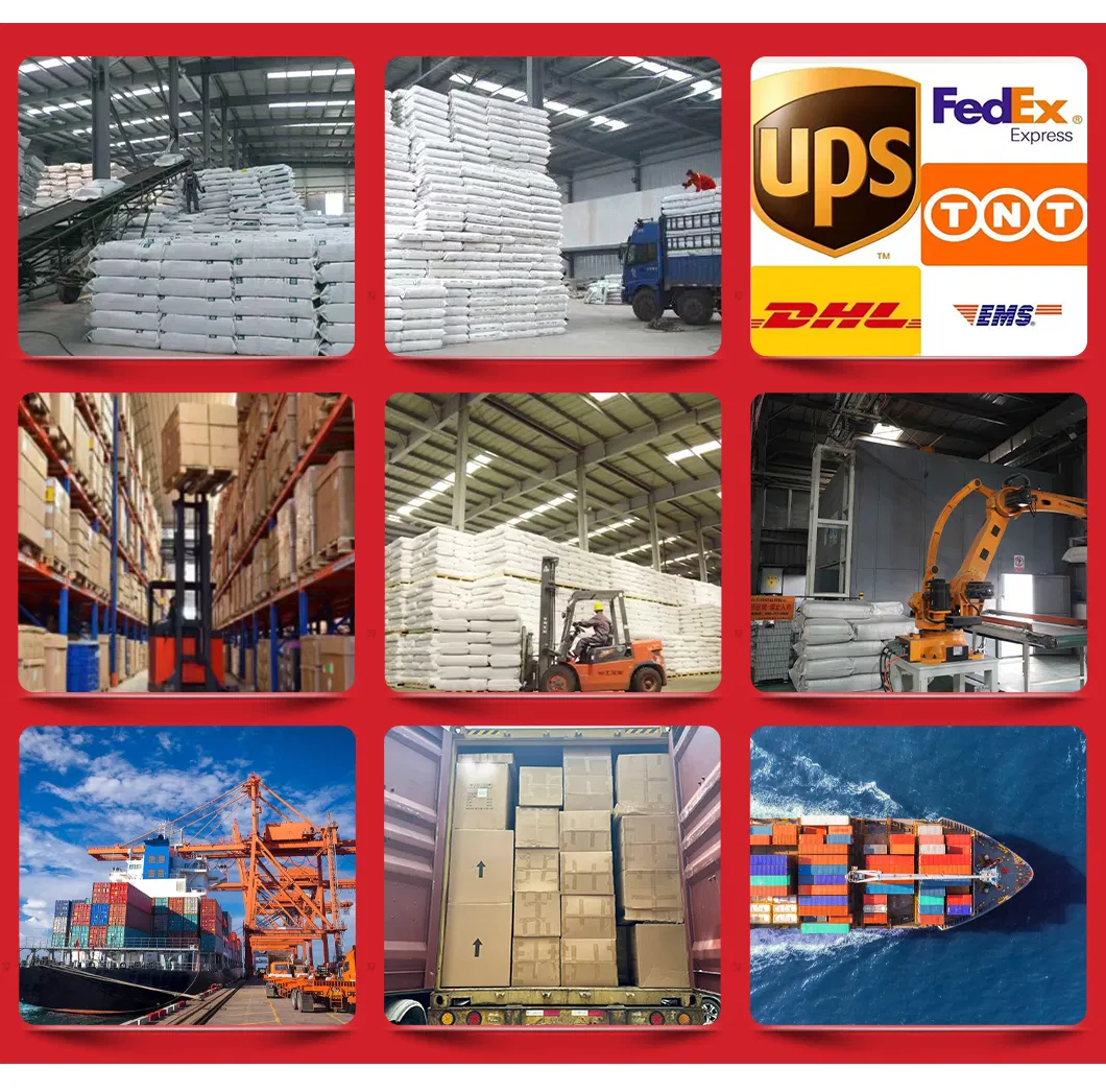 Packaging and Shipping Logistics