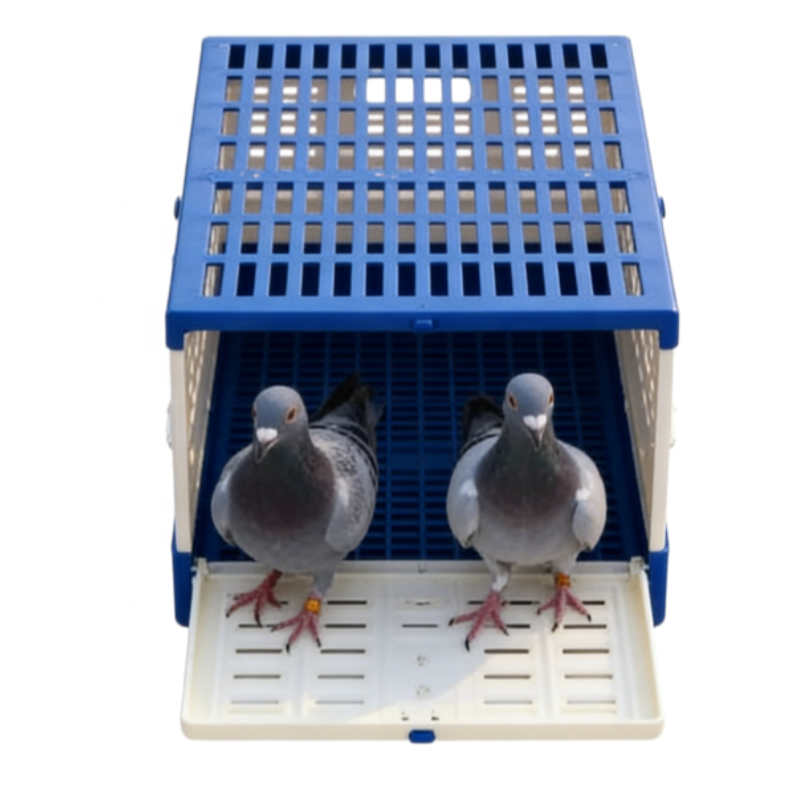 Foldable Plastic Pigeon Flying Cage for Bird Breeding Bird Carrier Portable Transport Crate Racing Pigeon Cage Training Box
