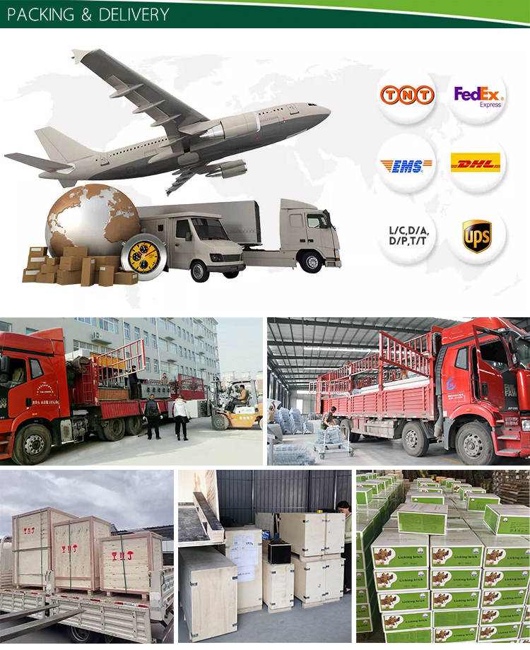 Packing and Shipping Process