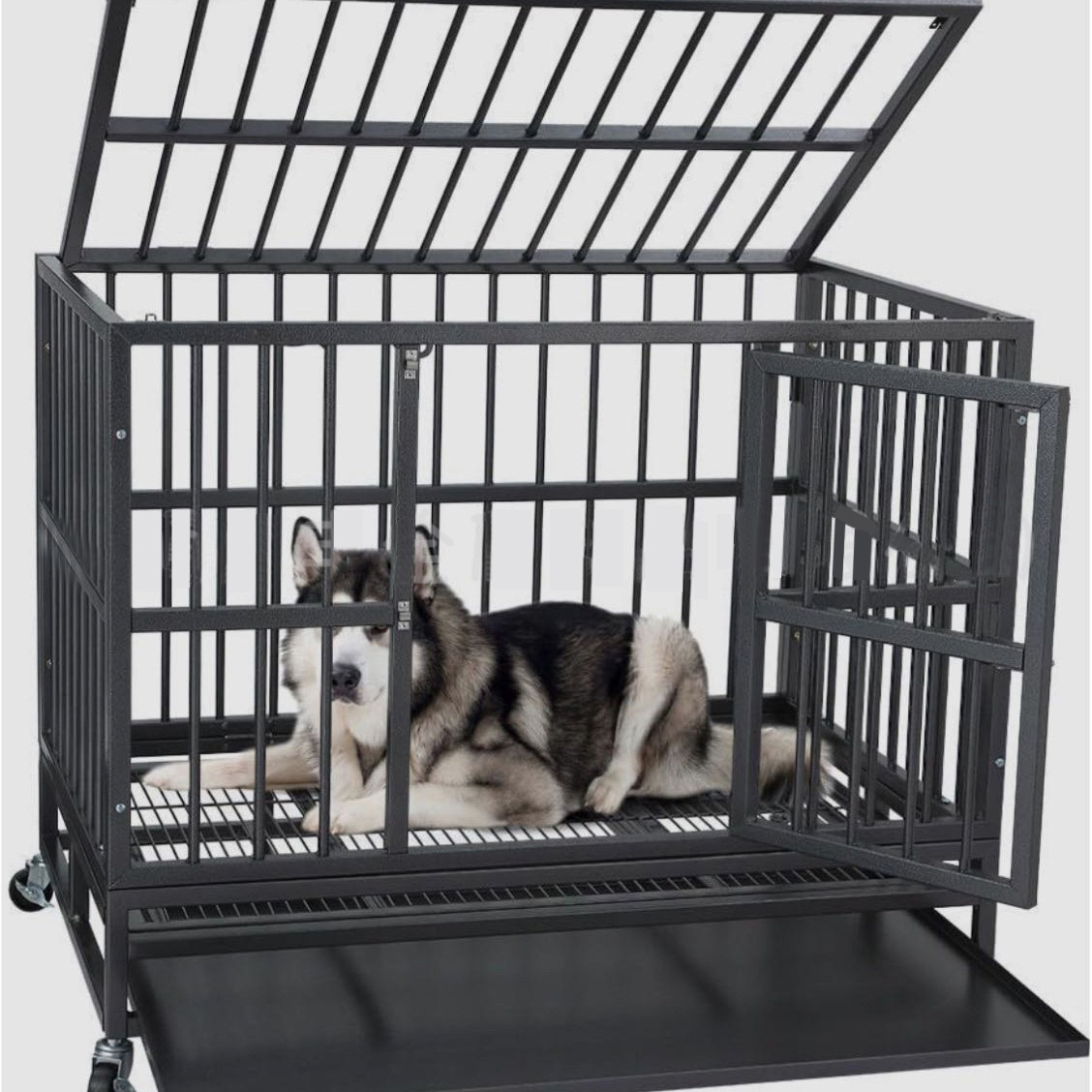 Wholesale Large Dog Bird/Parrot Crate 48/36/42 Inch Heavy Duty Stainless Steel Wood Indestructible Escape Proof Kennel Lockable