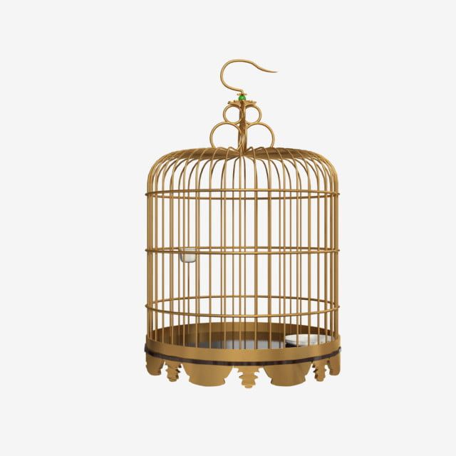 Bird Cage Design 5