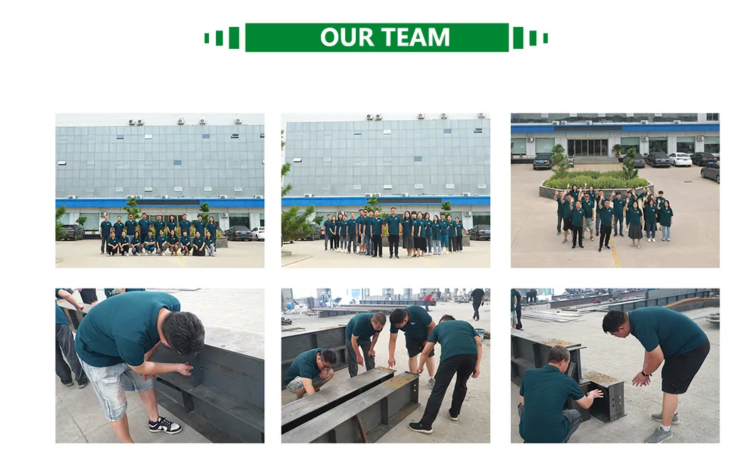 Professional Steel Structure Team