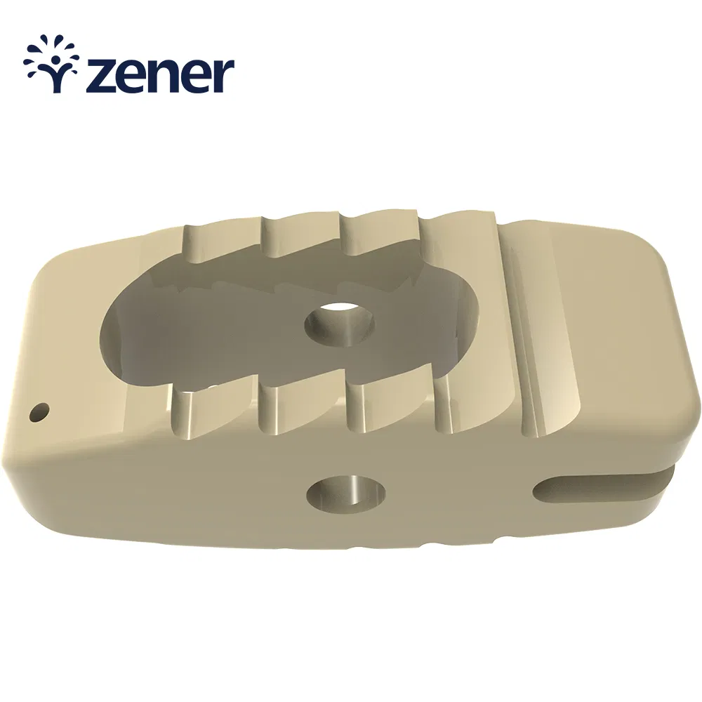 Surgical Instrument Orthopedic Implant Titanium Coating Bullet Lumbar Peek Interbody Fusion Cage Spine System