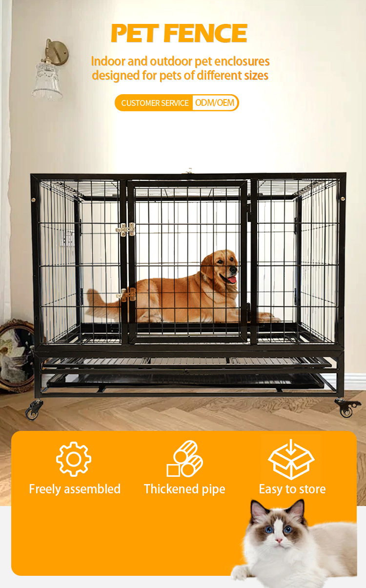 Product Showcase