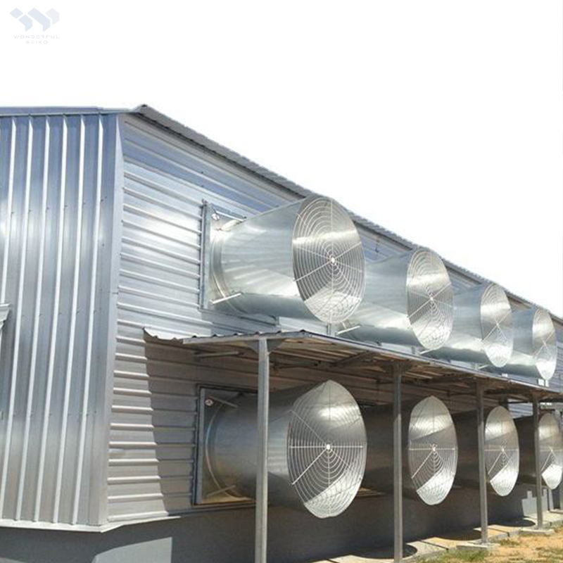Professional Low Cost Steel Structure Cage Poulet De Chair Hygienic Ventilated Customizable Size for Modern Broiler Production