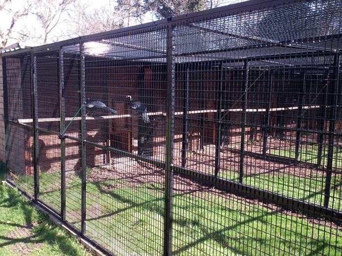 Household Pet, Poultry Farming, Lab Research, Veterinary Clinic