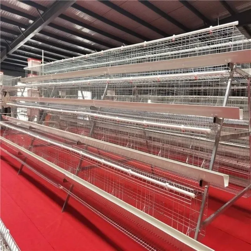 Poultry Farm Galvanized Chicken Cage details