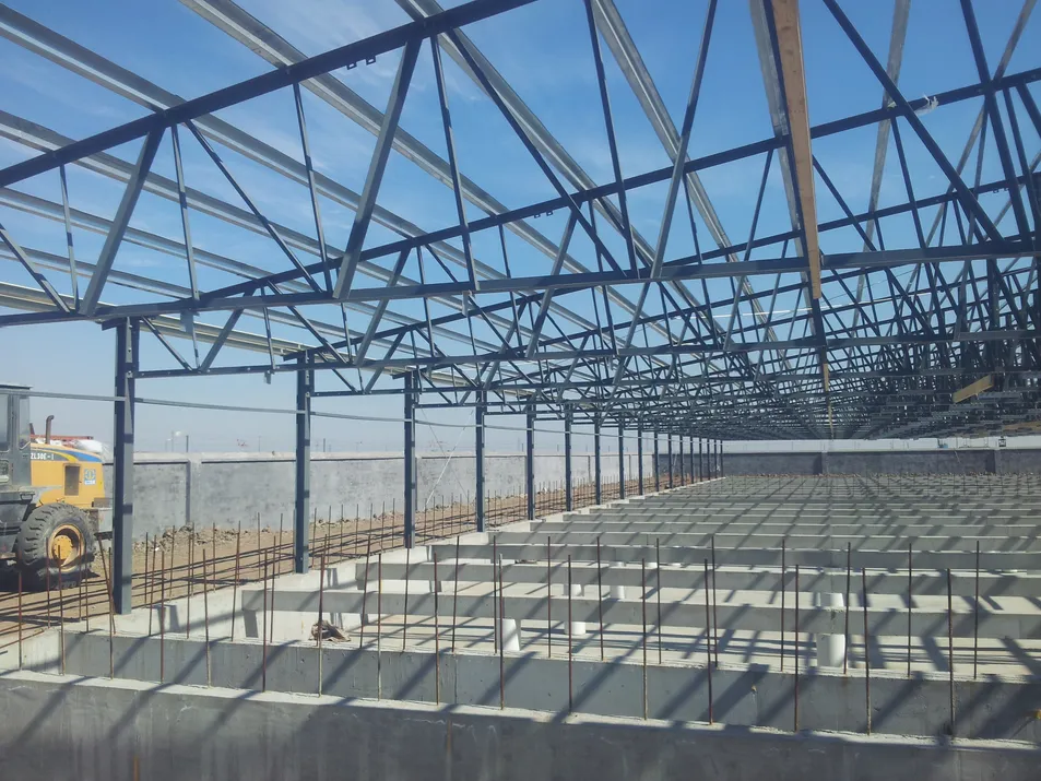 Steel Pig Barns Modular Housing Systems Quick-Install Poultry Farm Buildings Lightweight Structure