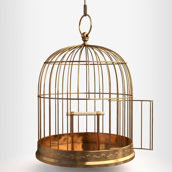 Bird Cage Showcase 7