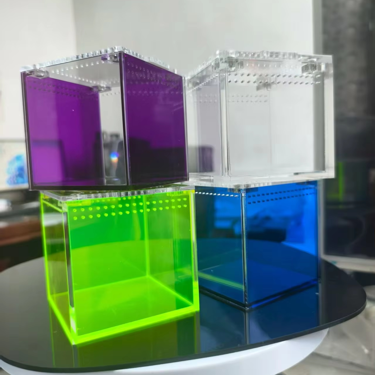 Modern 3x3x3 Inch Clear Acrylic Small Pet Enclosure Fluorescent Magnetic Jumping Spider Lizards Cube for Small Pets