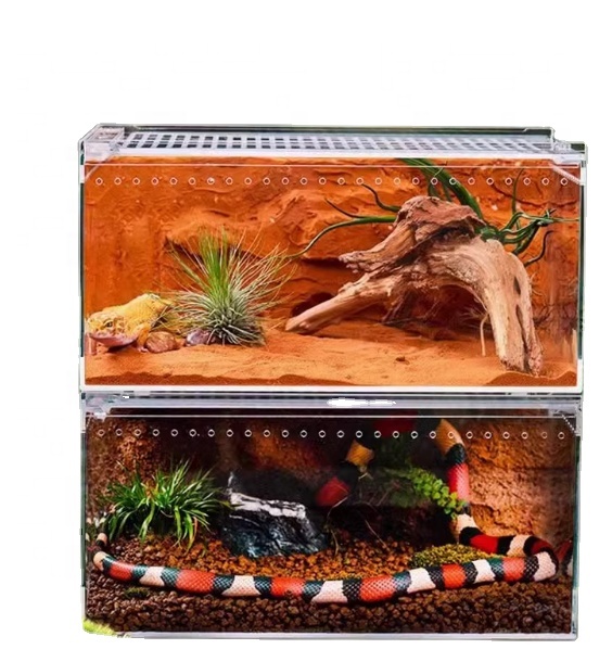 Clear Acrylic Reptile Breeding Box with Removable Lid and Ventilation Holes, Transparent Pet Insect Spider Enclosure