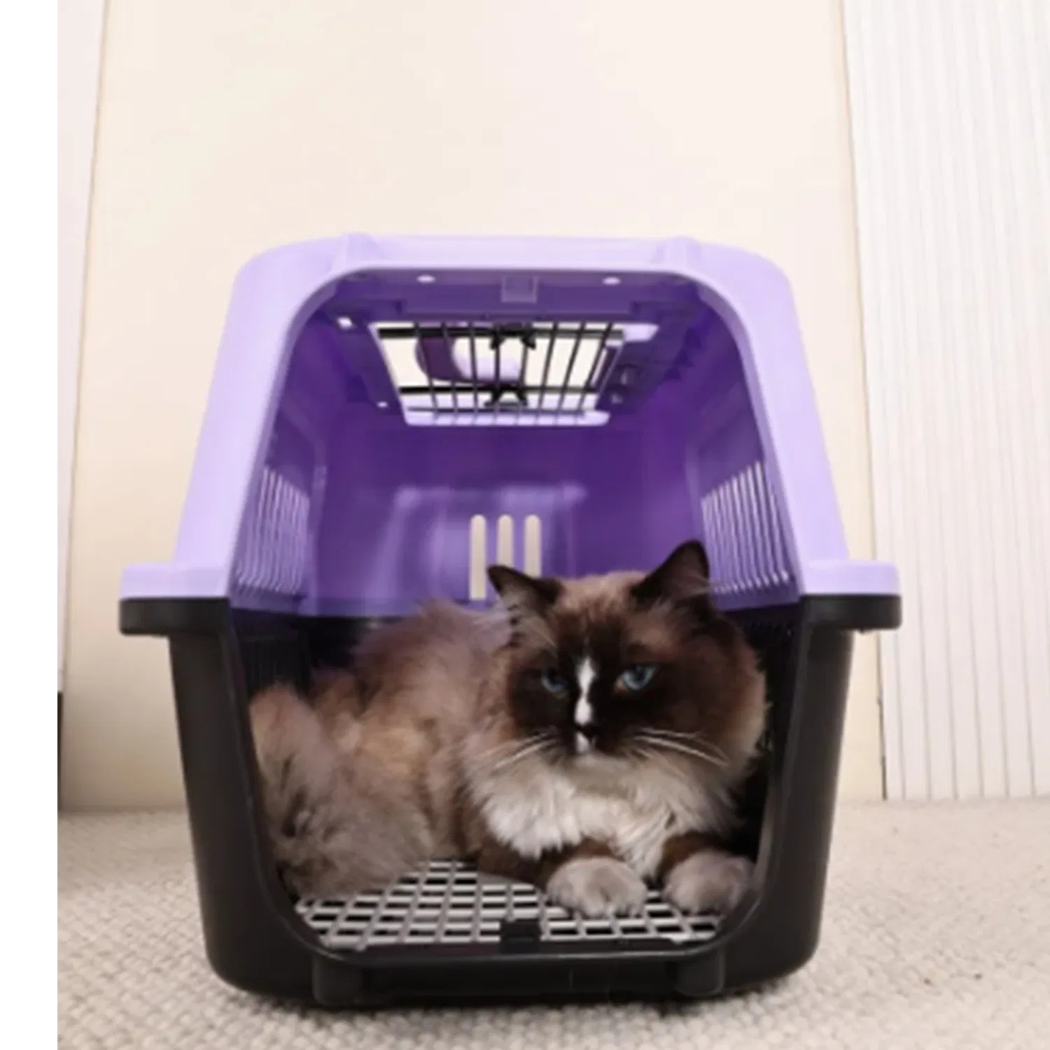 Pet Carrier Details 3
