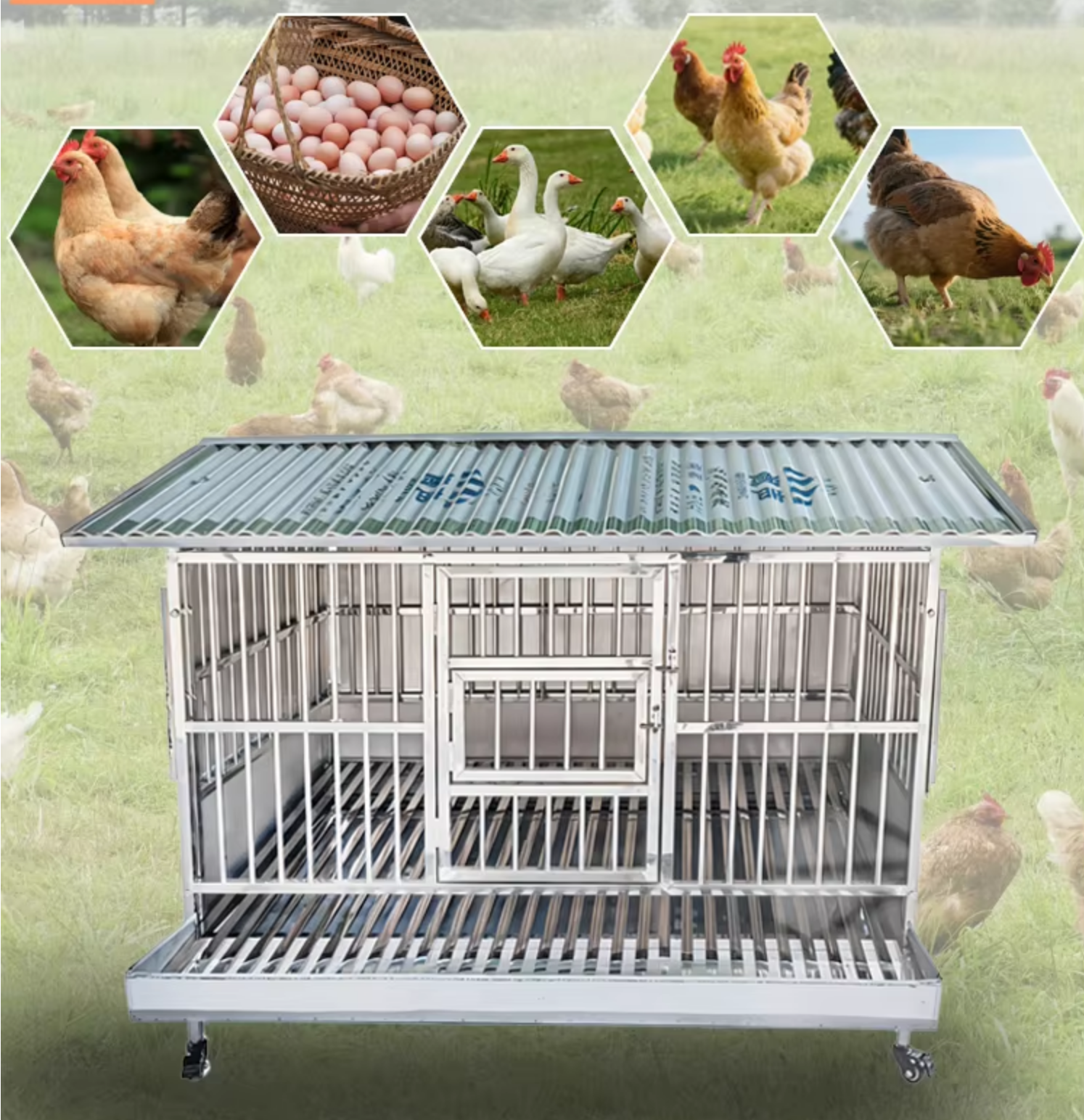 Easy-to-Clean Stainless Steel Chicken Coop with Removable Tray