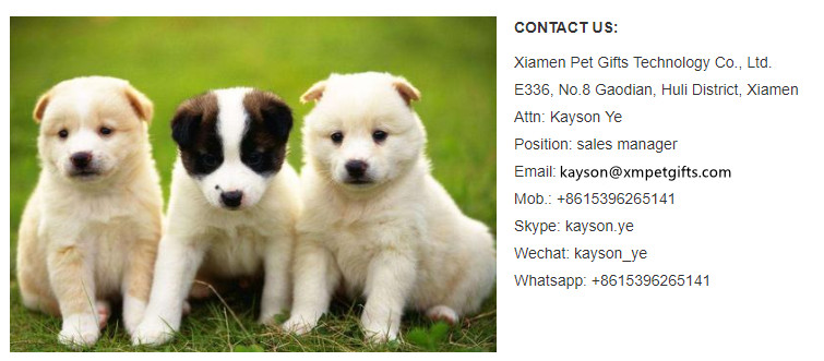 FAQ banner