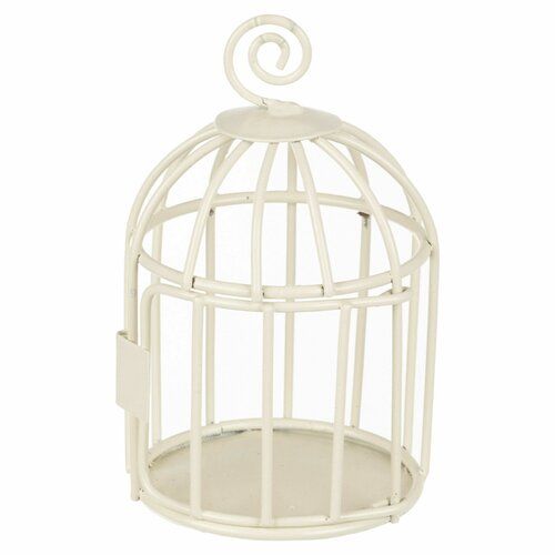 Bird Cage Showcase 10