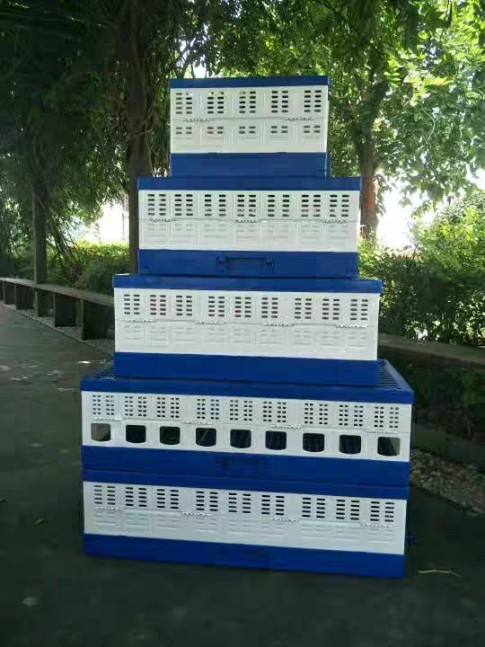 Pigeon Cage Specification
