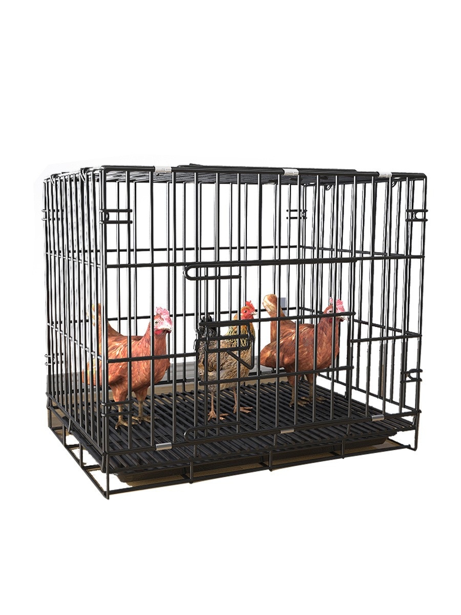Product Type 8