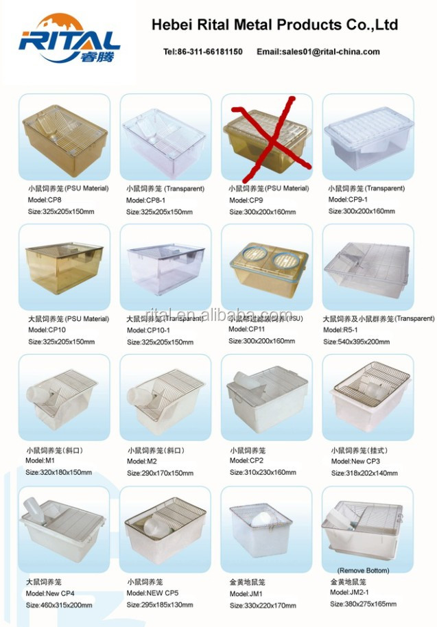 Veterinary Grade Stainless Steel Animal Hospitalization Cage