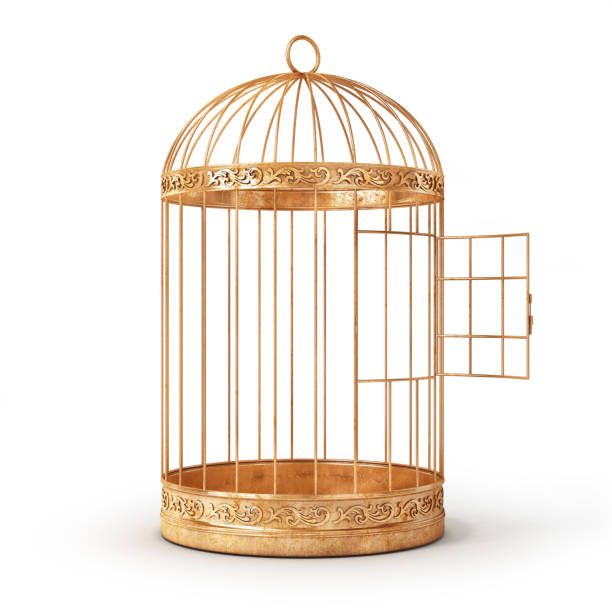 Spacious Wrought Iron Metal Bird Cage With Removable Tray And Seed Guard For Large Birds Easy Cleaning Design