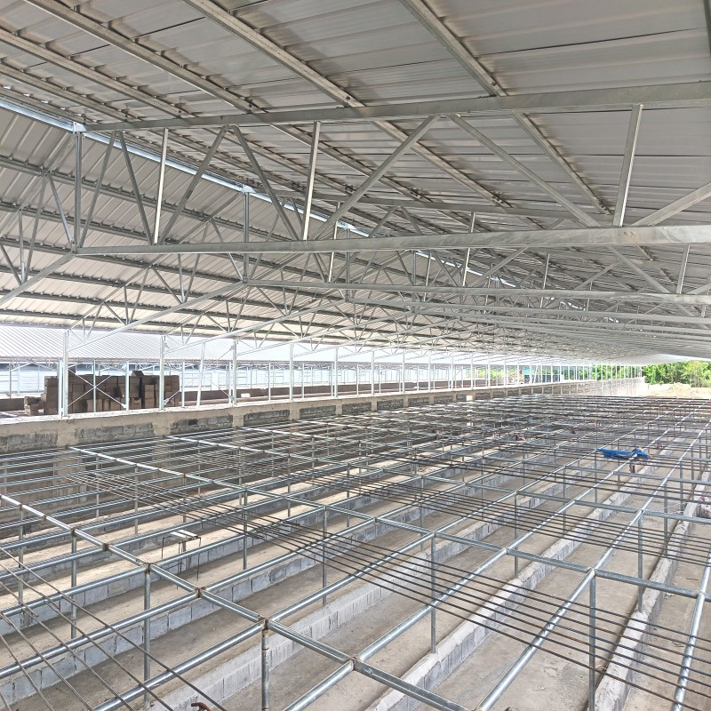 Affordable Prefabricated Chicken House with Efficient Cooling and Heating Systems